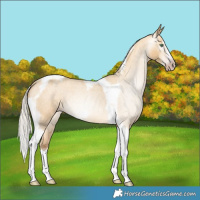 Horse Color:Gray Silver Amber Cream Champagne Roan Dun Splash Tobiano Frame Varnish Rabicano 