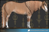 Horse Color:Red Dun Splash and Red Dun Splash