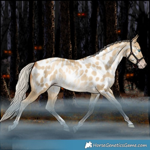 Horse Color:Gray Silver Sable Cream Champagne Snowdrop Dun Tobiano Appaloosa Rabicano