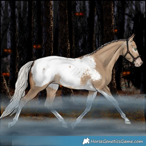 Horse Color:Gray Silver Amber Champagne Dun Mushroom Tobiano Appaloosa Rabicano