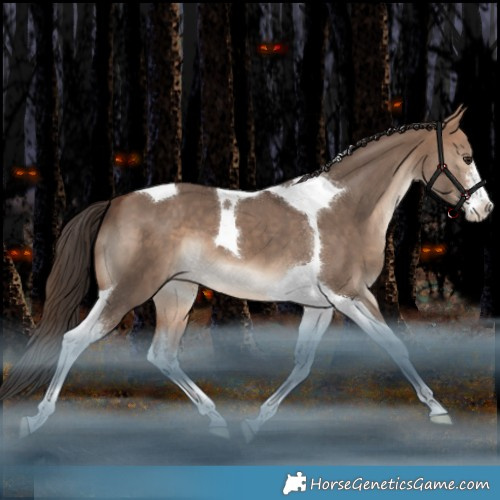 Horse Color:White Spotted Bay Dun Tobiano Appaloosa 