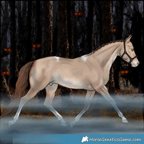 Horse Color:White Spotted Amber Champagne Dun Tobiano Appaloosa Rabicano
