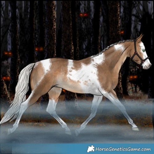 Horse Color:Gray Silver Bay Dun Mushroom Splash Tobiano Rabicano