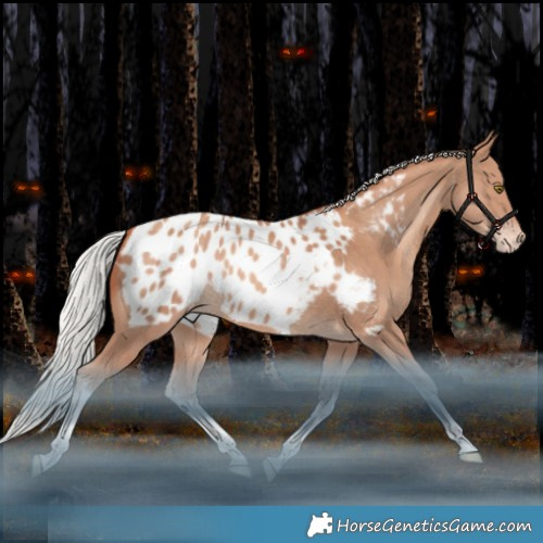 Horse Color:White Spotted Silver Amber Champagne Tobiano Appaloosa Rabicano 