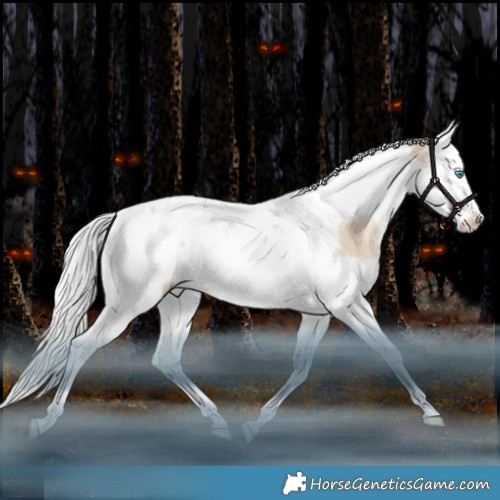 Horse Color:Silver Sable Champagne Dun Splash Tobiano Appaloosa 