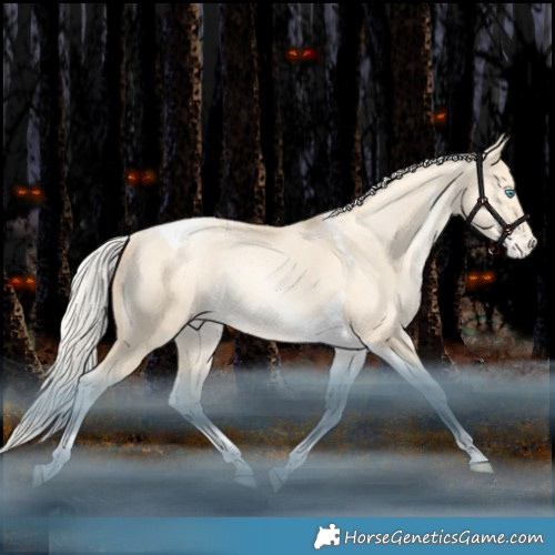 Horse Color:Silver Sable Champagne Snowdrop Dun Tobiano Appaloosa Rabicano 