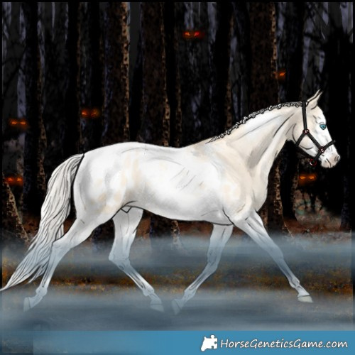 Horse Color:Silver Classic Champagne Snowdrop Dun Splash Tobiano Appaloosa Rabicano 