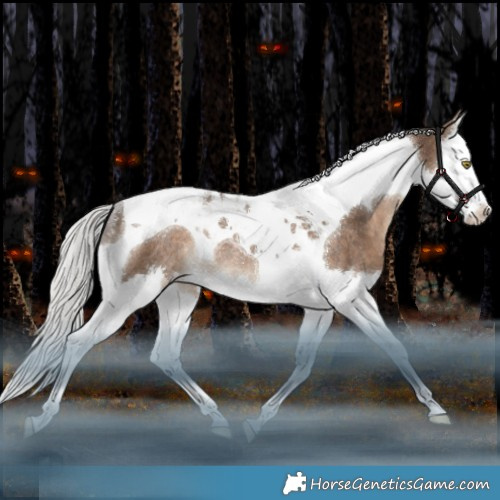 Horse Color:Silver Brown Dun Splash Tobiano Rabicano 