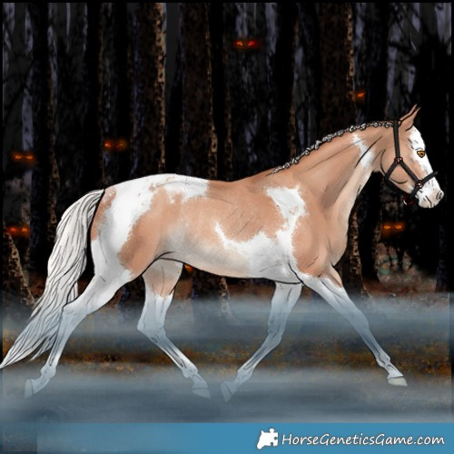 Horse Color:Silver Classic Champagne Splash Tobiano Rabicano
