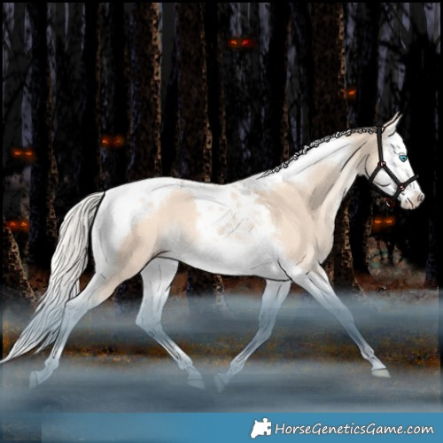 Horse Color:Silver Classic Champagne Dun Splash Tobiano 