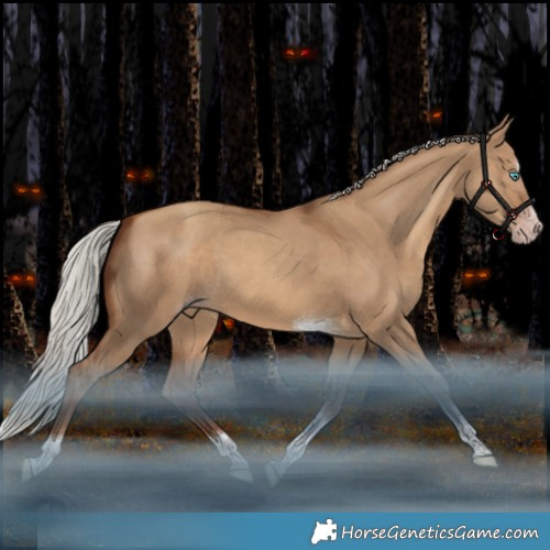 Horse Color:Gray Silver Sable Champagne Dun Splash Tobiano 