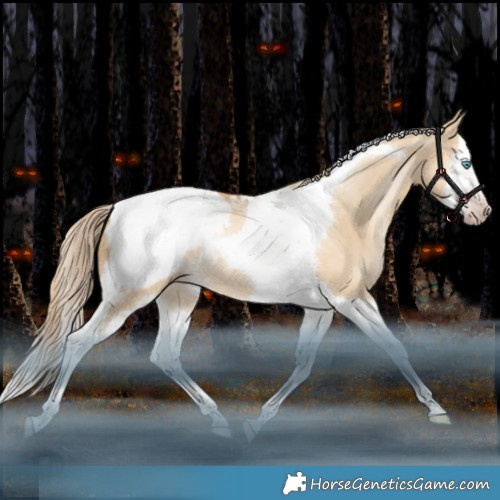 Horse Color:Gray White Spotted Gold Cream Champagne Snowdrop Dun Splash Tobiano Appaloosa Rabicano