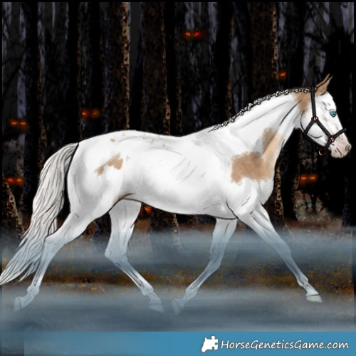 Horse Color:Gray Silver Sable Champagne Dun Splash Tobiano Appaloosa Rabicano 