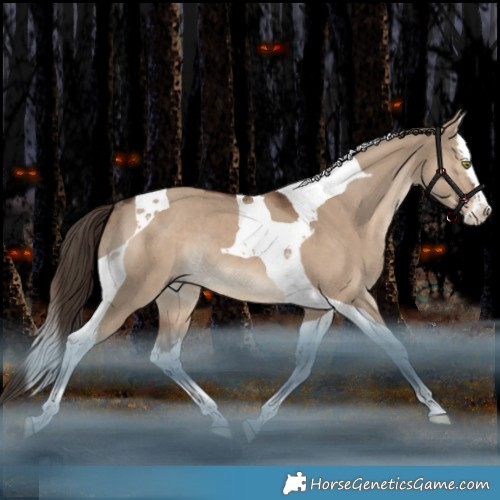 Horse Color:White Spotted Liver Red Dun Splash Tobiano Rabicano 