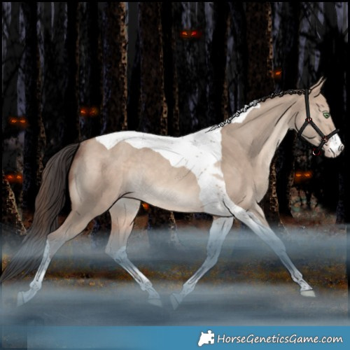Horse Color:White Spotted Sable Champagne Dun Tobiano Rabicano 