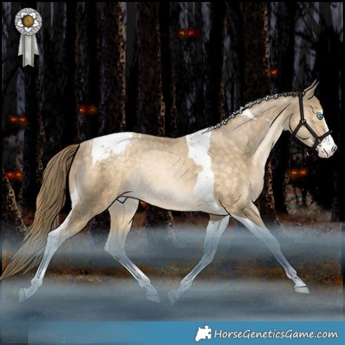 Horse Color:White Spotted Brown Snowdrop Pearl Tobiano Appaloosa Rabicano 