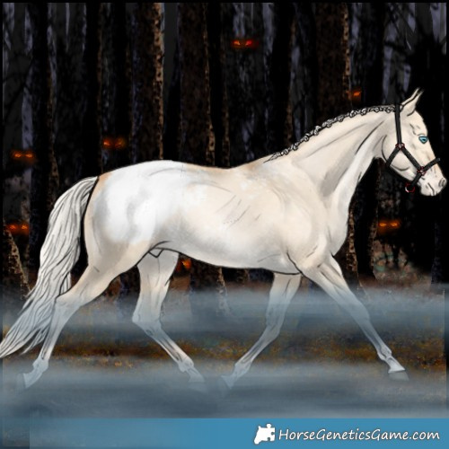 Horse Color:Silver Brown Snowdrop Pearl Dun Tobiano Appaloosa 