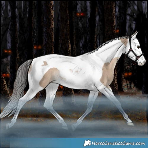 Horse Color:White Spotted Liver Red Dun Splash Tobiano Appaloosa Rabicano 