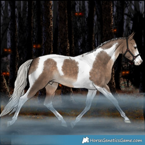 Horse Color:White Spotted Silver Brown Dun Tobiano 