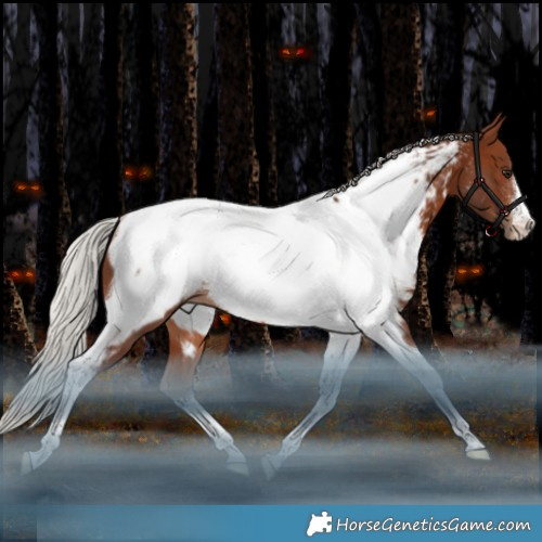Horse Color:White Spotted Silver Brown Tobiano Appaloosa Rabicano 