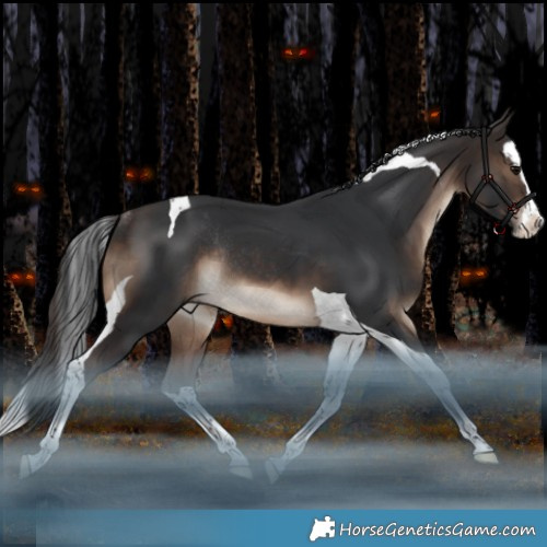 Horse Color:Brown Splash Tobiano Rabicano 