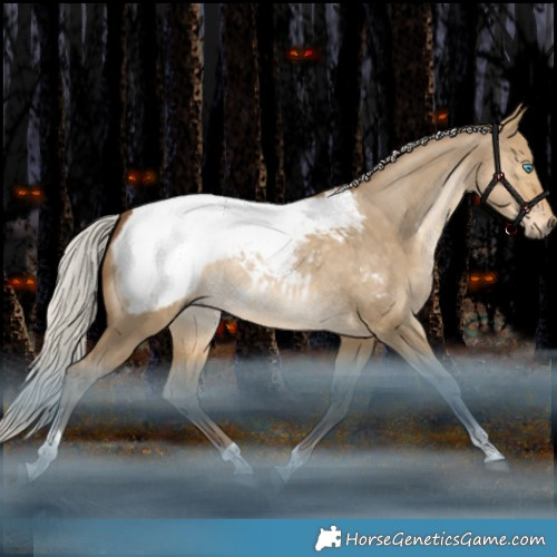 Horse Color:Gray White Spotted Silver Bay Snowdrop Pearl Dun Tobiano Appaloosa Rabicano 
