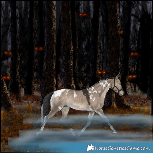 Horse Color:White Spotted Brown Dun Tobiano Rabicano 