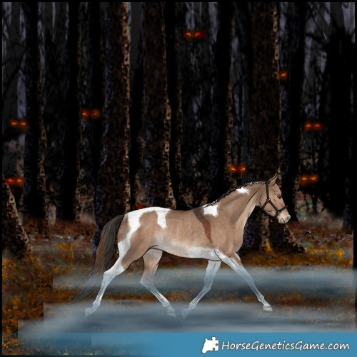 Horse Color:Liver Red Dun Tobiano Rabicano 