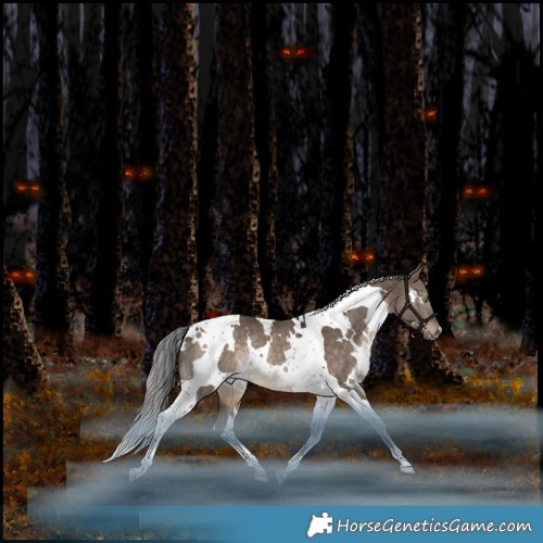 Horse Color:White Spotted Brown Dun Tobiano Rabicano 
