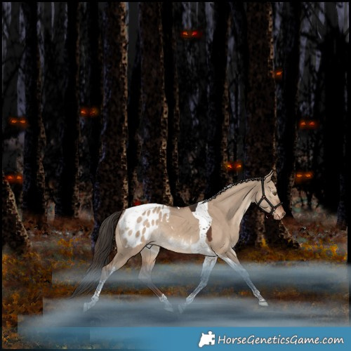 Horse Color:Liver Red Dun Tobiano Appaloosa Rabicano 