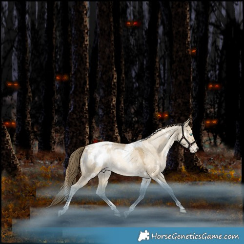 Horse Color:White Spotted Grullo Snowdrop Pearl Tobiano Appaloosa Rabicano 