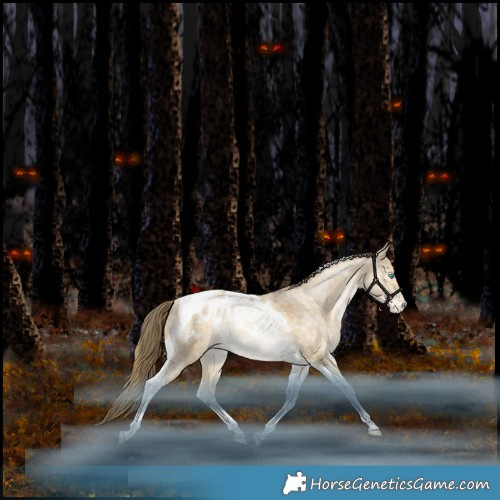 Horse Color:Bay Snowdrop Pearl Dun Tobiano Appaloosa Rabicano 