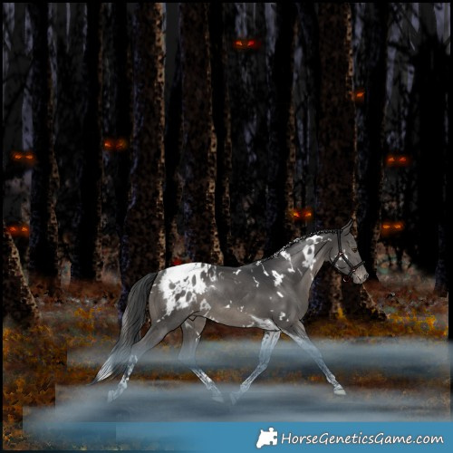 Horse Color:White Spotted Black Tobiano Appaloosa Rabicano 