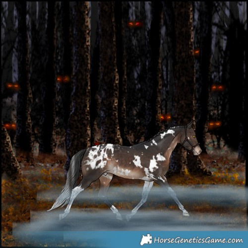 Horse Color:White Spotted Brown Tobiano Appaloosa Rabicano 