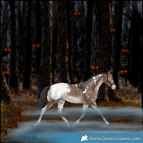 Horse Color:White Spotted Bay Dun Tobiano Appaloosa Rabicano 