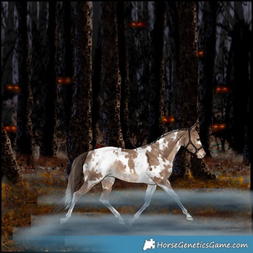 Horse Color:White Spotted Liver Red Dun Tobiano Appaloosa Rabicano 