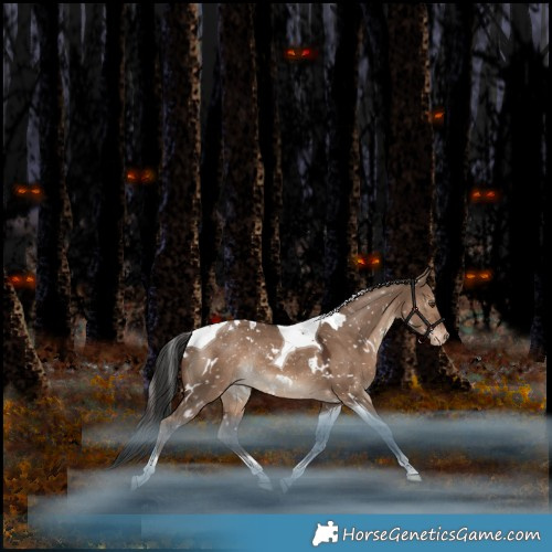 Horse Color:White Spotted Liver Red Dun Tobiano Appaloosa Rabicano 