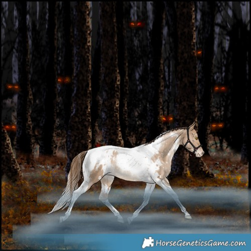 Horse Color:White Spotted Bay Pearl Dun Tobiano Appaloosa Rabicano 