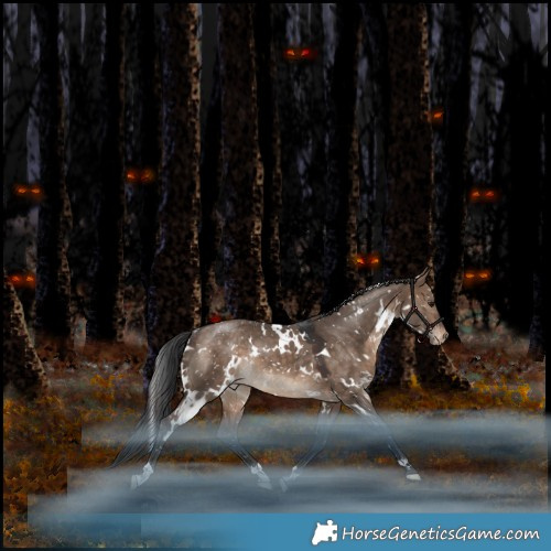 Horse Color:White Spotted Bay Dun Appaloosa Rabicano 