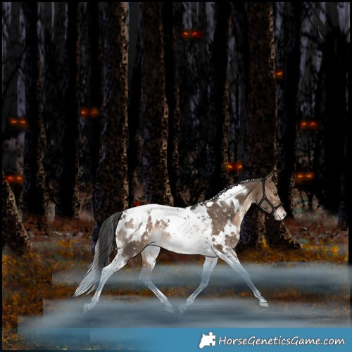 Horse Color:White Spotted Bay Dun Tobiano Appaloosa Rabicano 