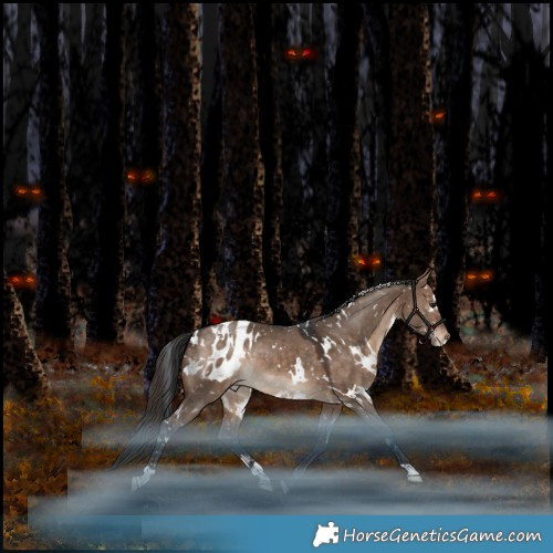 Horse Color:White Spotted Bay Dun Appaloosa Rabicano 