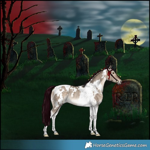 Horse Color:White Spotted Brown Dun Tobiano Rabicano 