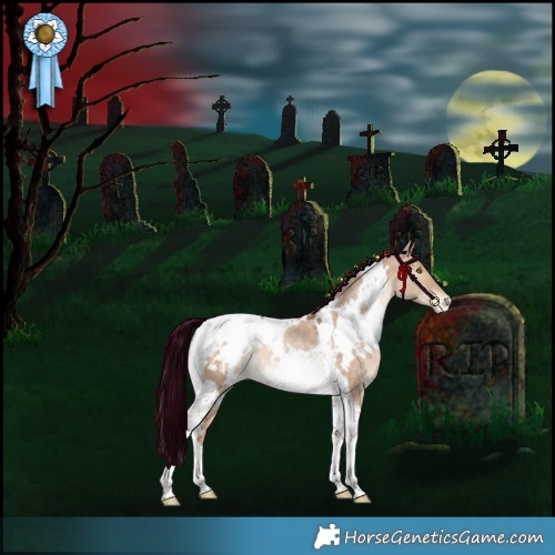 Horse Color:White Spotted Bay Pearl Dun Tobiano Appaloosa Rabicano