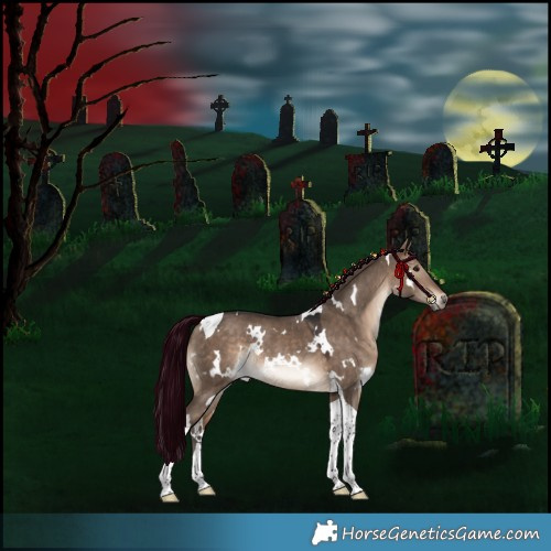 Horse Color:White Spotted Bay Dun Tobiano Rabicano 