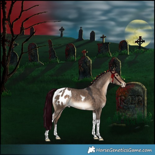 Horse Color:Bay Dun Tobiano Appaloosa Rabicano 