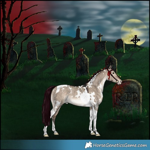 Horse Color:White Spotted Bay Dun Tobiano Appaloosa Rabicano 