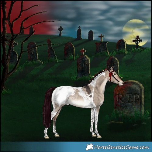 Horse Color:Bay Dun Tobiano Appaloosa Rabicano 