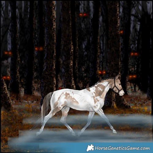 Horse Color:White Spotted Liver Red Dun Tobiano Appaloosa Rabicano