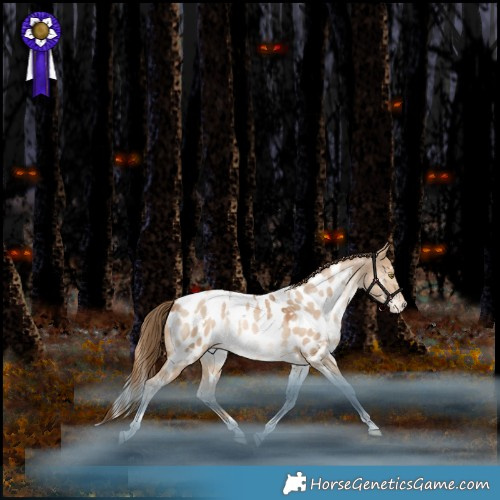 Horse Color:White Spotted Liver Red Dun Pearl Tobiano Appaloosa Rabicano