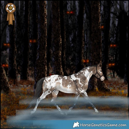 Horse Color:White Spotted Bay Dun Appaloosa Rabicano 